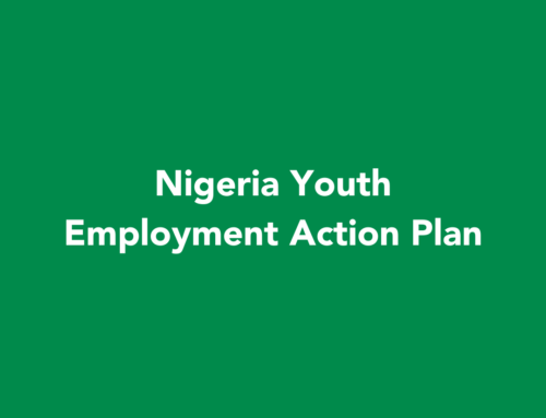 Nigeria Youth Employment Action Plan